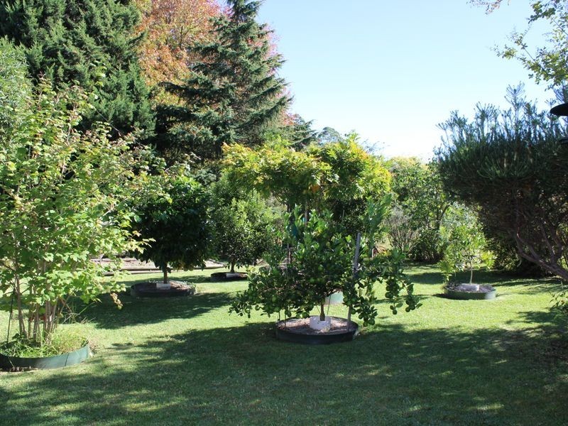 43 Eden Street, Bega NSW 2550