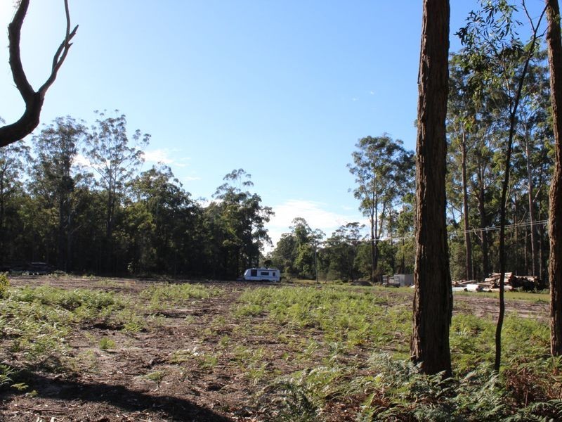 60 Armstrong Drive, Kalaru NSW 2550