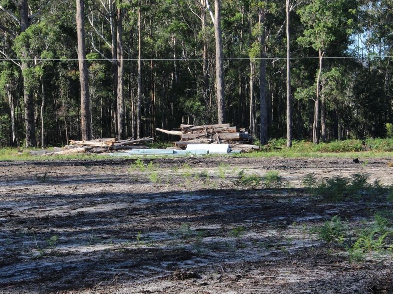 60 Armstrong Drive, Kalaru NSW 2550