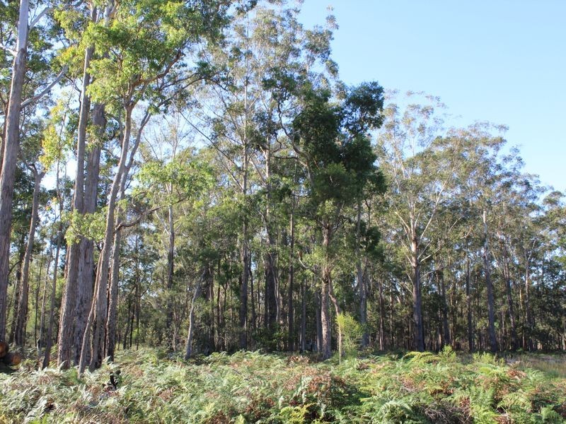 60 Armstrong Drive, Kalaru NSW 2550