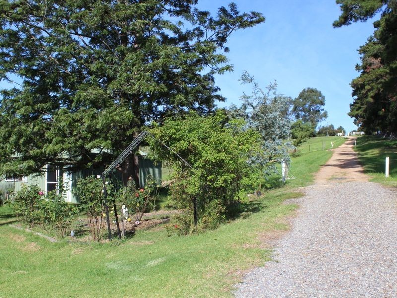 906 Candelo Wolumla Road, Wolumla NSW 2550