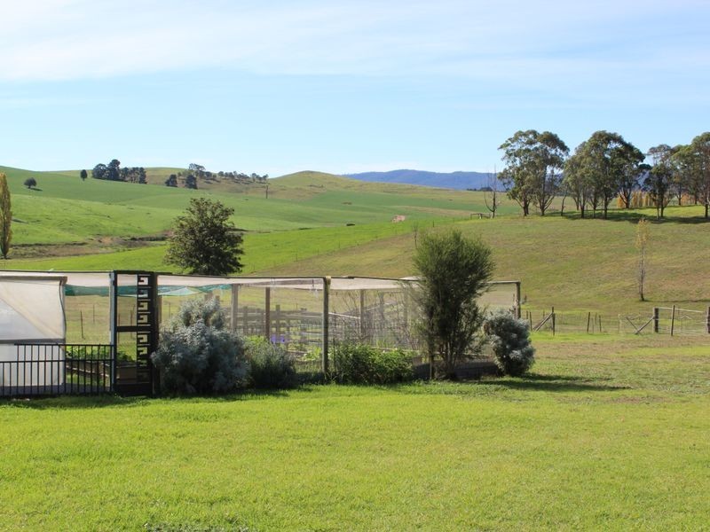 906 Candelo Wolumla Road, Wolumla NSW 2550