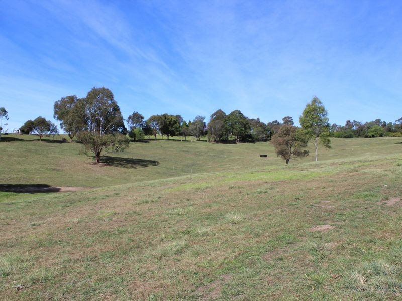 906 Candelo Wolumla Road, Wolumla NSW 2550