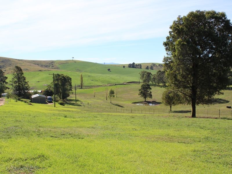 906 Candelo Wolumla Road, Wolumla NSW 2550