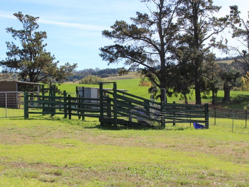 906 Candelo Wolumla Road, Wolumla NSW 2550