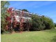 906 Candelo Wolumla Road, Wolumla NSW 2550