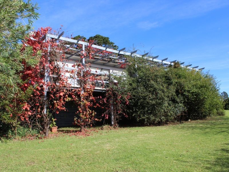 906 Candelo Wolumla Road, Wolumla NSW 2550