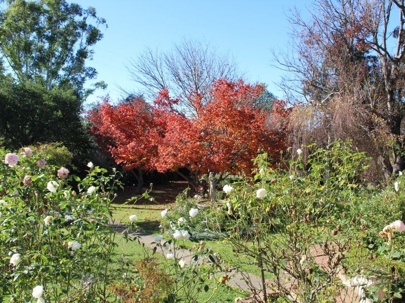 2079 Mogilla Road, Bemboka NSW 2550