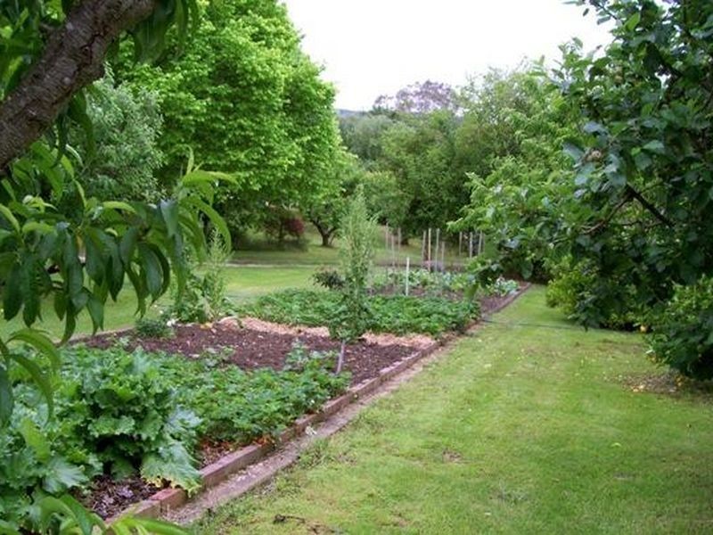 2079 Mogilla Road, Bemboka NSW 2550