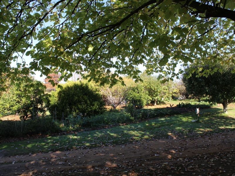 2079 Mogilla Road, Bemboka NSW 2550