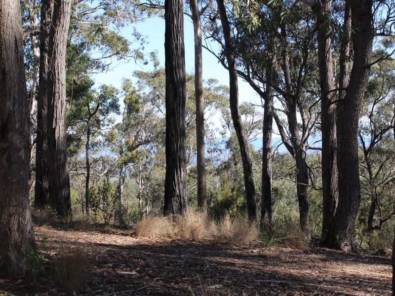 40 Vimy Ridge Road, Bega NSW 2550