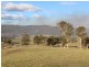 1231 Princes Highway, Bega NSW 2550