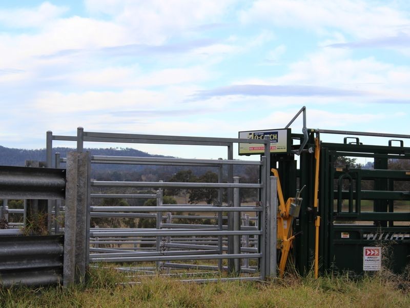 39 Candelo-Wolumla Road, Candelo NSW 2550