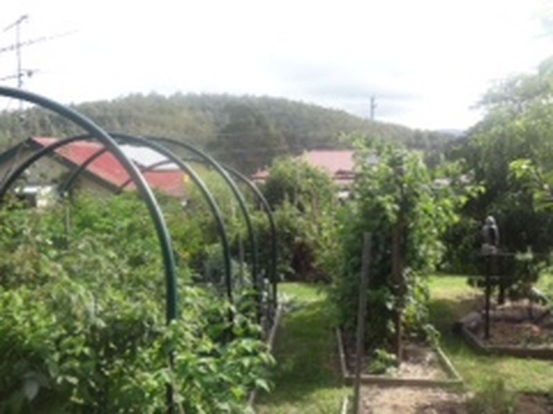 52 Bermagui Road, Cobargo NSW 2550