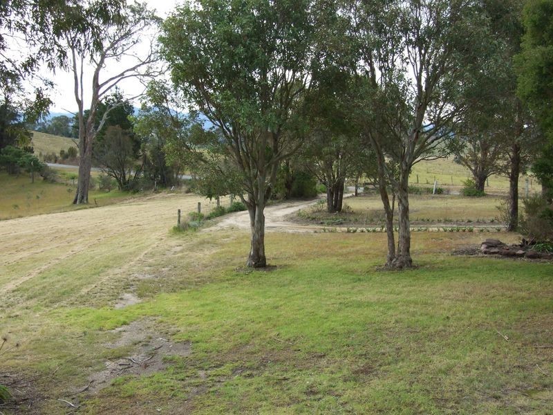 1321 Candelo-Wolumla Road, Candelo NSW 2550