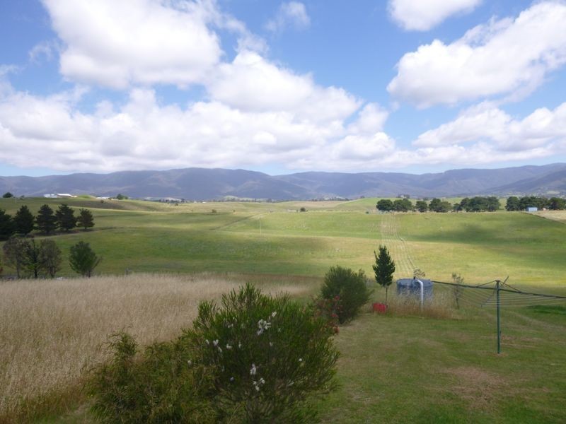 55 Loftus Street, Bemboka NSW 2550