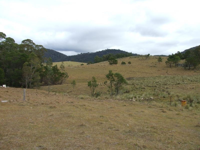 Lot 442 New Buildings Road, Wyndham NSW 2550