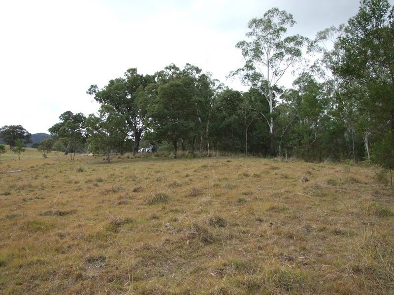 Lot 442 New Buildings Road, Wyndham NSW 2550