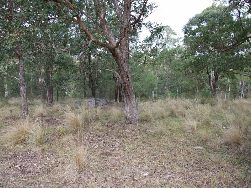Lot 442 New Buildings Road, Wyndham NSW 2550