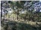 Lot 442 New Buildings Road, Wyndham NSW 2550