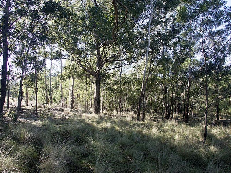 Lot 442 New Buildings Road, Wyndham NSW 2550