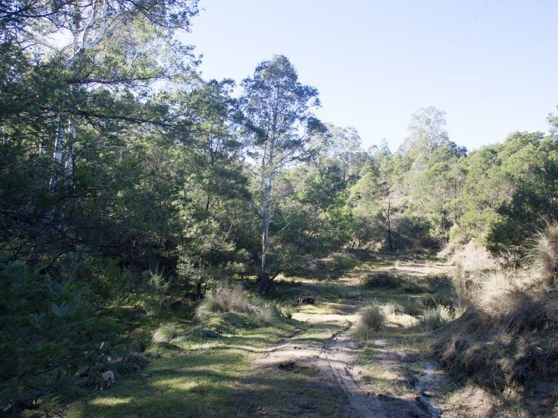 Lot 442 New Buildings Road, Wyndham NSW 2550