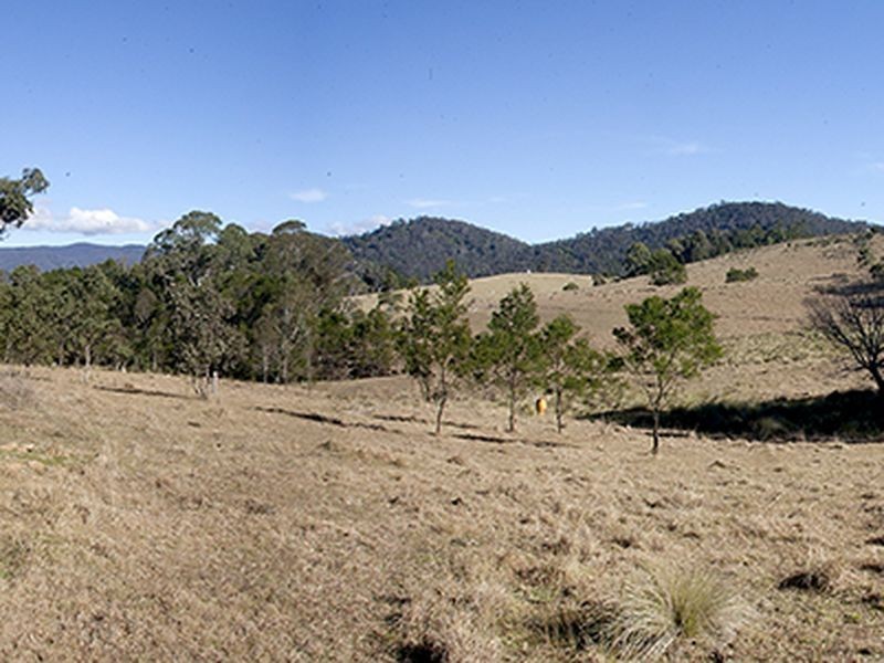 Lot 442 New Buildings Road, Wyndham NSW 2550