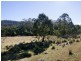 Lot 442 New Buildings Road, Wyndham NSW 2550