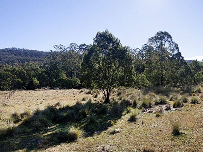Lot 442 New Buildings Road, Wyndham NSW 2550