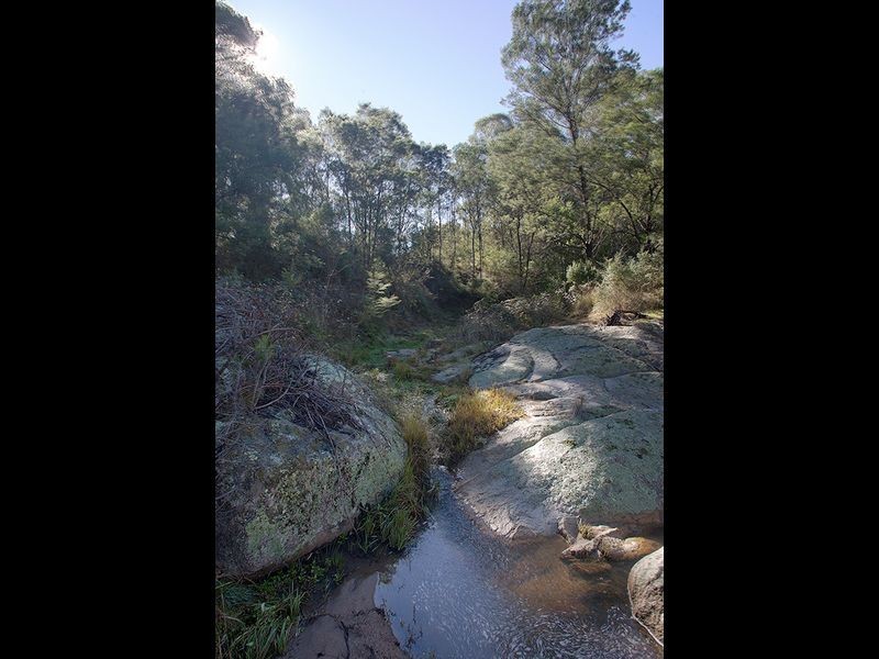Lot 442 New Buildings Road, Wyndham NSW 2550