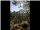 Lot 442 New Buildings Road, Wyndham NSW 2550