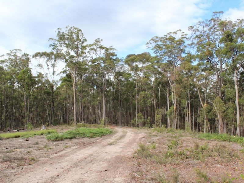 Lot 301 Yellow Pinch Drive, Merimbula NSW 2548