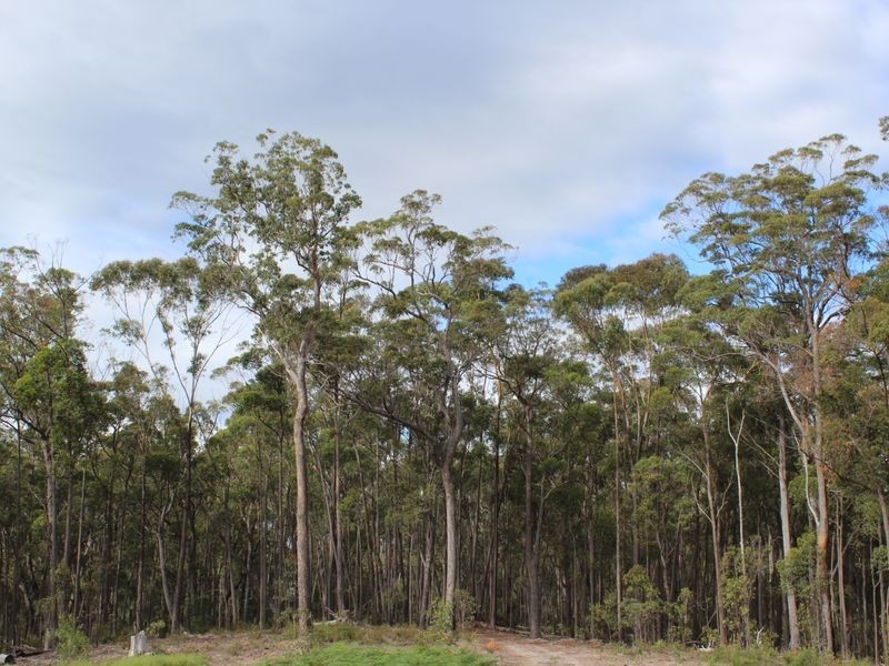 Lot 301 Yellow Pinch Drive, Merimbula NSW 2548