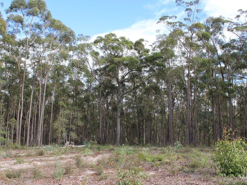 Lot 301 Yellow Pinch Drive, Merimbula NSW 2548