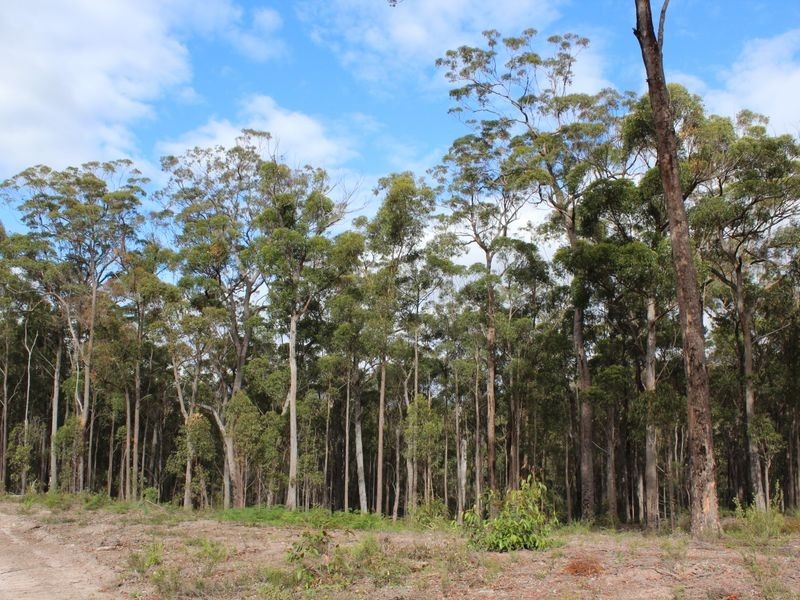 Lot 301 Yellow Pinch Drive, Merimbula NSW 2548