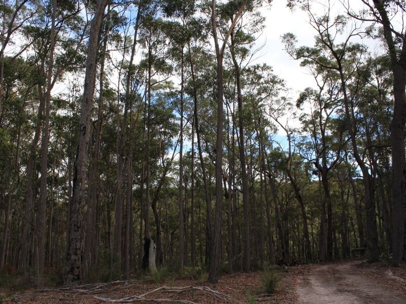 Lot 301 Yellow Pinch Drive, Merimbula NSW 2548