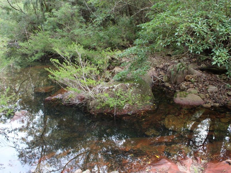 Lot 301 Yellow Pinch Drive, Merimbula NSW 2548