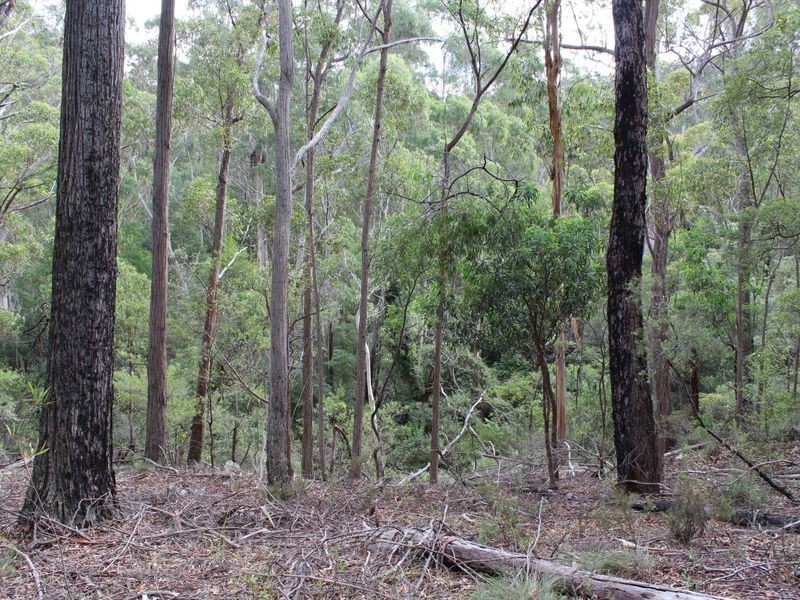 Lot 301 Yellow Pinch Drive, Merimbula NSW 2548