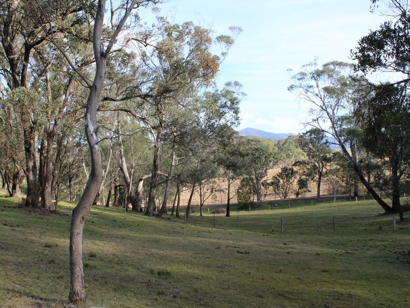 87 Greendale Lane, Wolumla NSW 2550