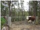 87 Greendale Lane, Wolumla NSW 2550