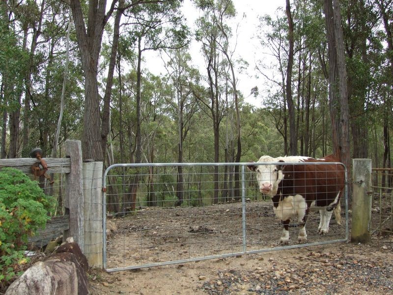 87 Greendale Lane, Wolumla NSW 2550