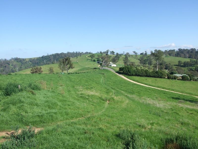 612 Peak Hill Road, Buckajo NSW 2550