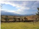 873 Mogilla Road, Candelo NSW 2550
