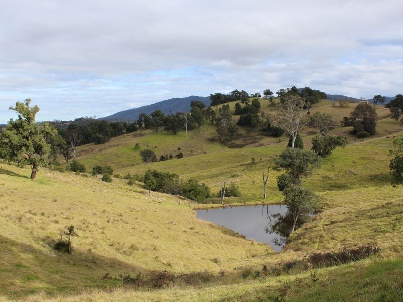81 Yowrie Road, Cobargo NSW 2550
