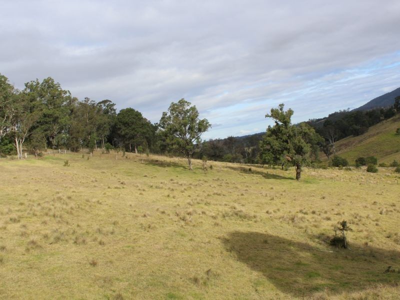 81 Yowrie Road, Cobargo NSW 2550