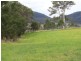 81 Yowrie Road, Cobargo NSW 2550