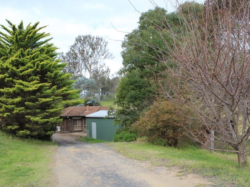 81 Yowrie Road, Cobargo NSW 2550