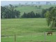 82 Corridgeree Road, Tarraganda NSW 2550