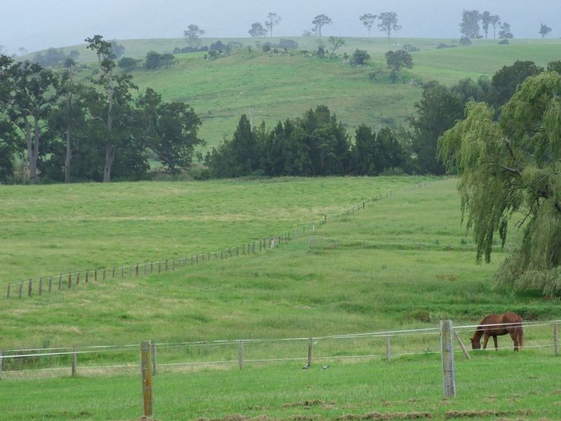 82 Corridgeree Road, Tarraganda NSW 2550