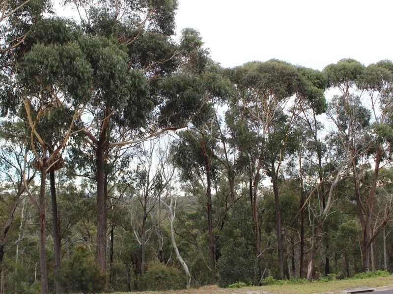 6 Killarney Road, Tathra NSW 2550